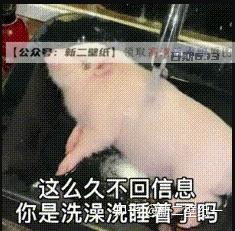 这么久不回消息你是洗澡洗睡着了吗抖音热门图片表情包
