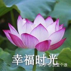 2020年,这些礼物最适合送给长辈