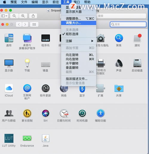 在mac中如何调整图像的尺寸