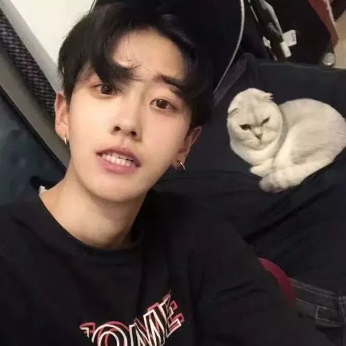 头像丨你要的,我都有