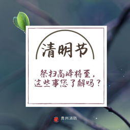 一家三口祭祖时坟头爆炸还飘来一股奇异的味道...
