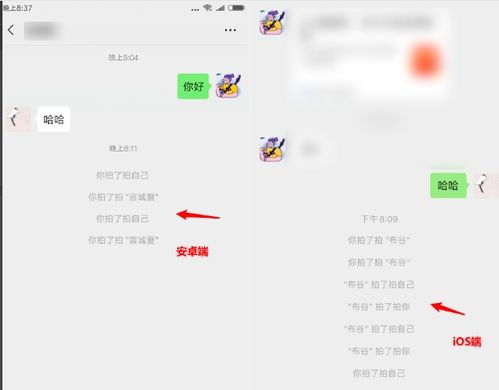微信拍一拍上线了,快来看看怎么玩吧