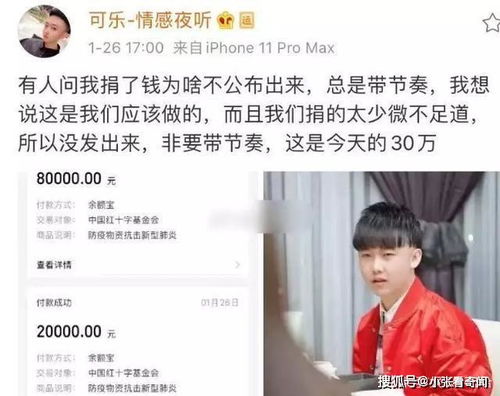网红不比明星差天佑捐84万,辛巴捐1.5亿,李子柒终于出手