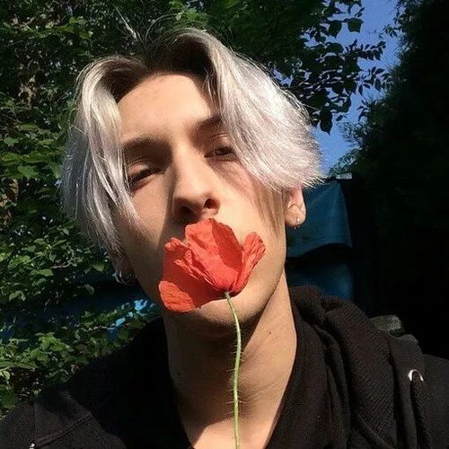 100张精心准备的头像,换上你就最靓的仔