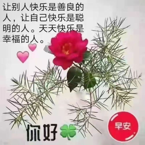 有哪些适合中年人用的头像