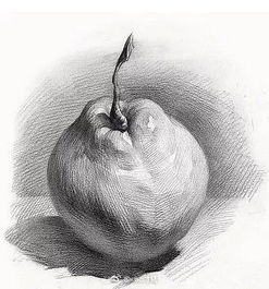 吃透素描静物的质感,艺考校考全部通杀
