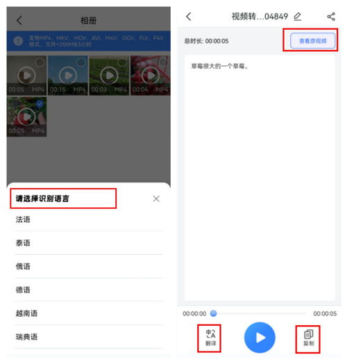 哪个视频转文字软件免费这些工具能让视频信息更加直观