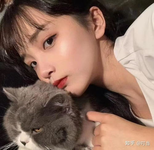 微信头像女动物可爱