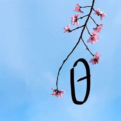2023最新唯美花朵风景头像