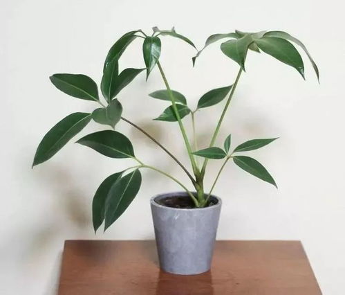 花小钱来的高级感,ins网红拍照必备这10样宝贝