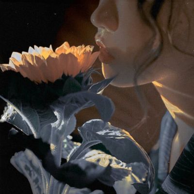 女头ins白底高级执念从不是微信头像我要个性网