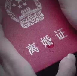 两口子离婚后的聊天记录,一夜间在宜宾火起来了