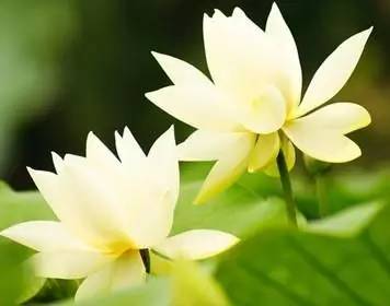 怕,就会输一辈子好文