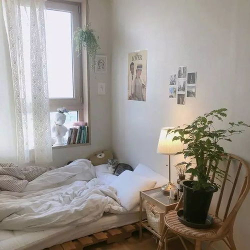 温馨ins风卧室装修效果图,chic卧室布置参考