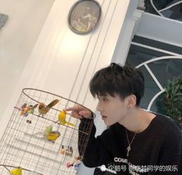 王乐乐换新发型,徒弟称他找了女朋友,粉丝小不点后悔了