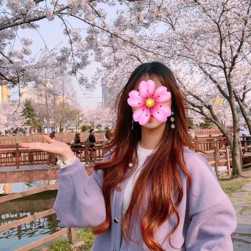 韩国网红打卡地错过一次,等上一年韩国2019樱花盛开期来啦