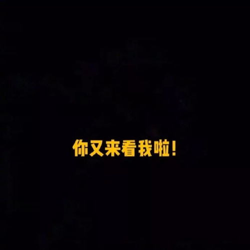 壁纸头像朋友圈文字背景图
