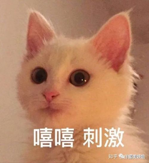 盘点抖音表哥自黑历程