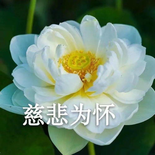 抖音头像男生大彻大悟