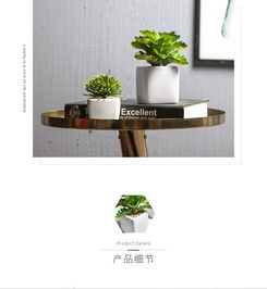 ins北欧风仿真植物装饰绿植小盆栽创意客厅摆件假花多肉家居摆设