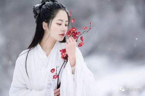 让雪花带走我的思念