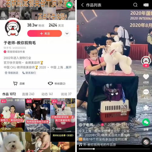 快手小众赛道江湖有人在直播间给狗狗剪毛,有人靠盆景年入千万