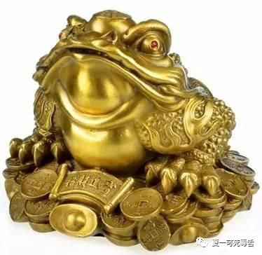别人家的孩子青蛙