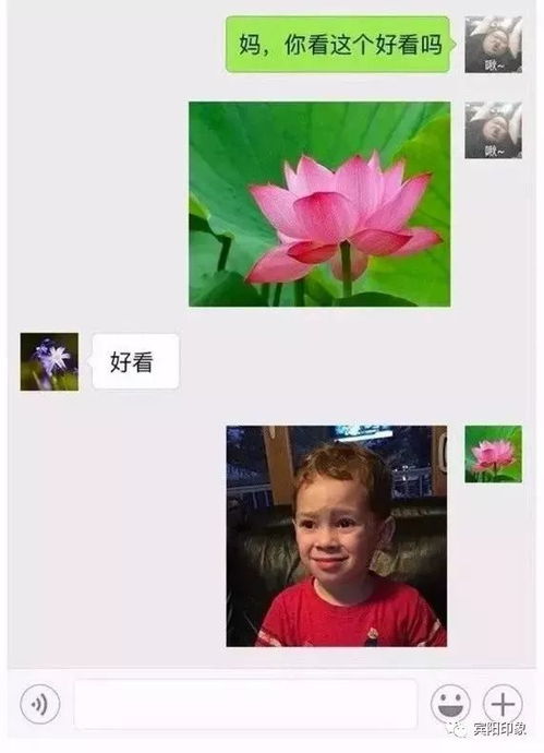 日常坑娃妈妈微信头像太丑了,我要和你脱离母女关系