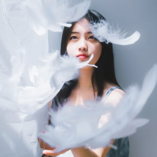 评价网20172018年影视摄影与制作专业排名