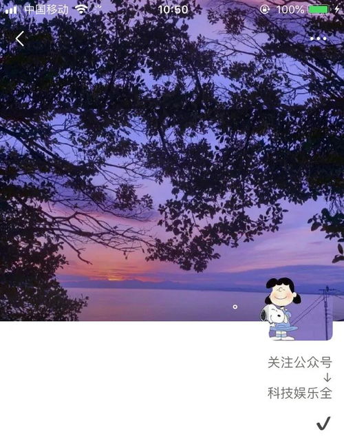 朋友圈背景图和头像一体的套图朋友圈背景图头像一