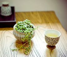 快手白鹤大人个人资料微信头像图片大全