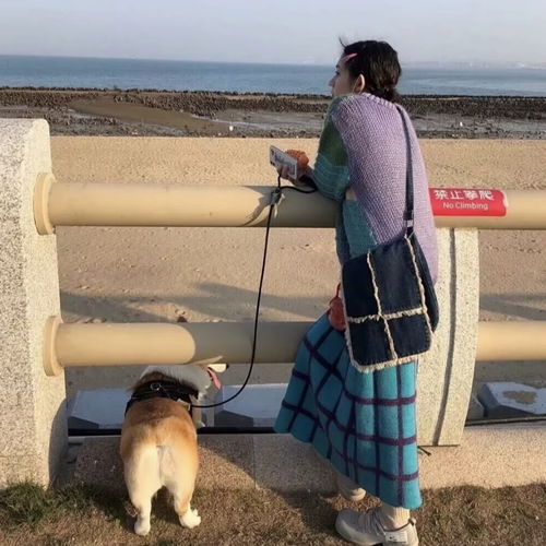 ins神仙女头
