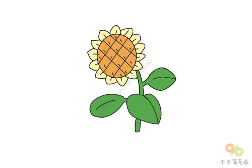 摇摆的向日葵简笔画图片