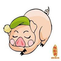 属猪的用什么头像好微信头像图片大全