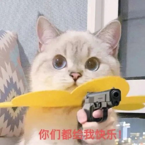 表情包嬉皮笑脸