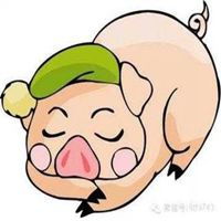 属猪的幸运花头像微信头像图片大全