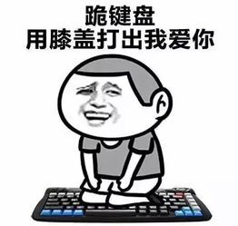 看了董卿的采访才明白,我们对努力有太多误解