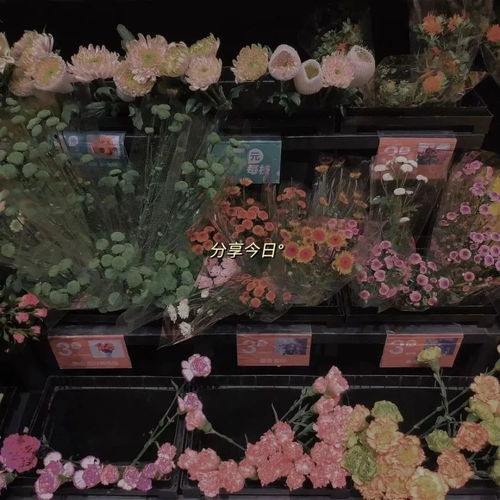 ins风小众高级感背景图