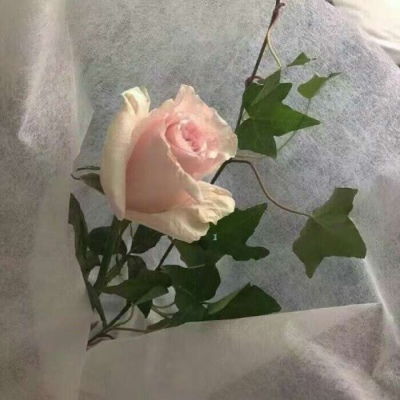 白灏宇风景静物头像唯美可爱风景静物头像我要个性网