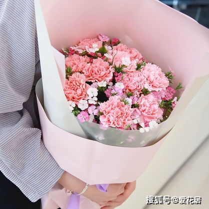 春节送长辈什么花合适春节看望长辈准备这些花最佳,快来康康
