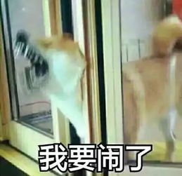 你朋友圈私照可能被卖给了居心叵测的人某天,你或许就变成了整容前网恋女......