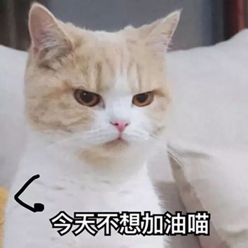 情侣头像专辑不要叫我宅女,请叫我居里夫人
