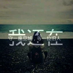 个人动态