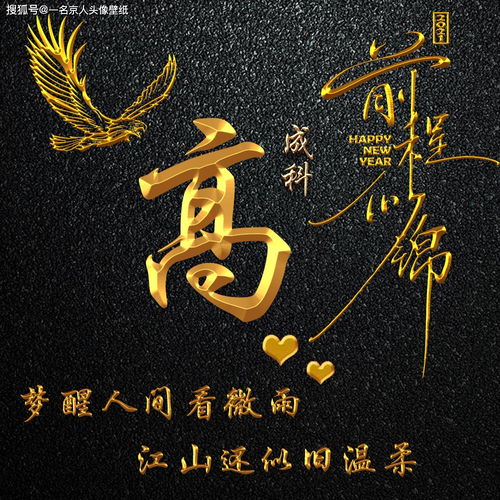 纯金质感姓氏照片头像,高端商务打造,让你的形象提升一个档次