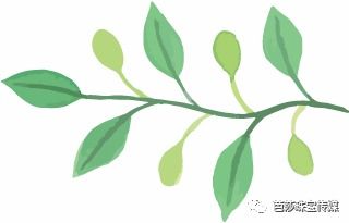 朴信惠的珠宝箱get拍摄小技巧,show出ins风首饰大片