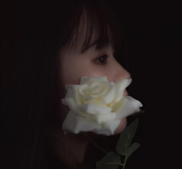 ins甜宠限量版女生头像玫瑰夜景