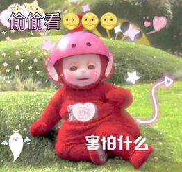 第五人格小小兔明日之后的主页快手直播