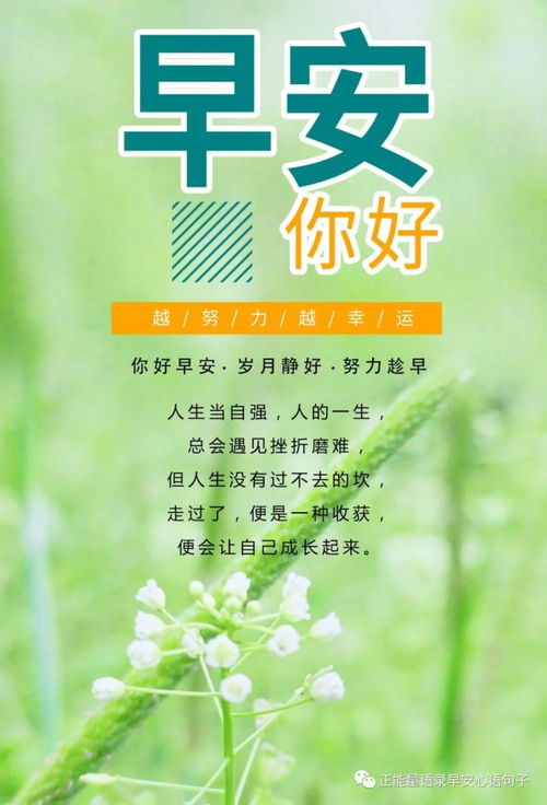 1月15日早安心语一眼就心动的早安朋友圈文案,满满正能量的早安句子