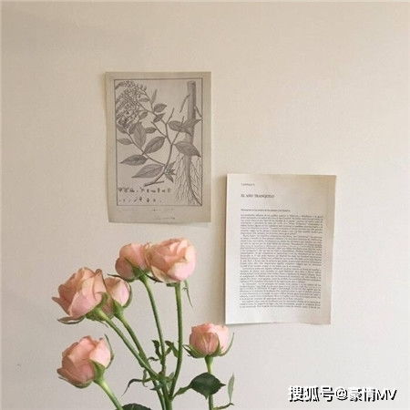 冷调ins简约背景图片小清新唯美意境图片朋友圈配图