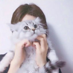 女头猫咪安静